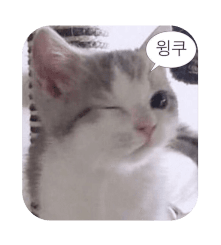 /_next/static/media/cute.9a77165f.png
